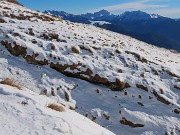 18 Ghirigori della neve sui pratoni